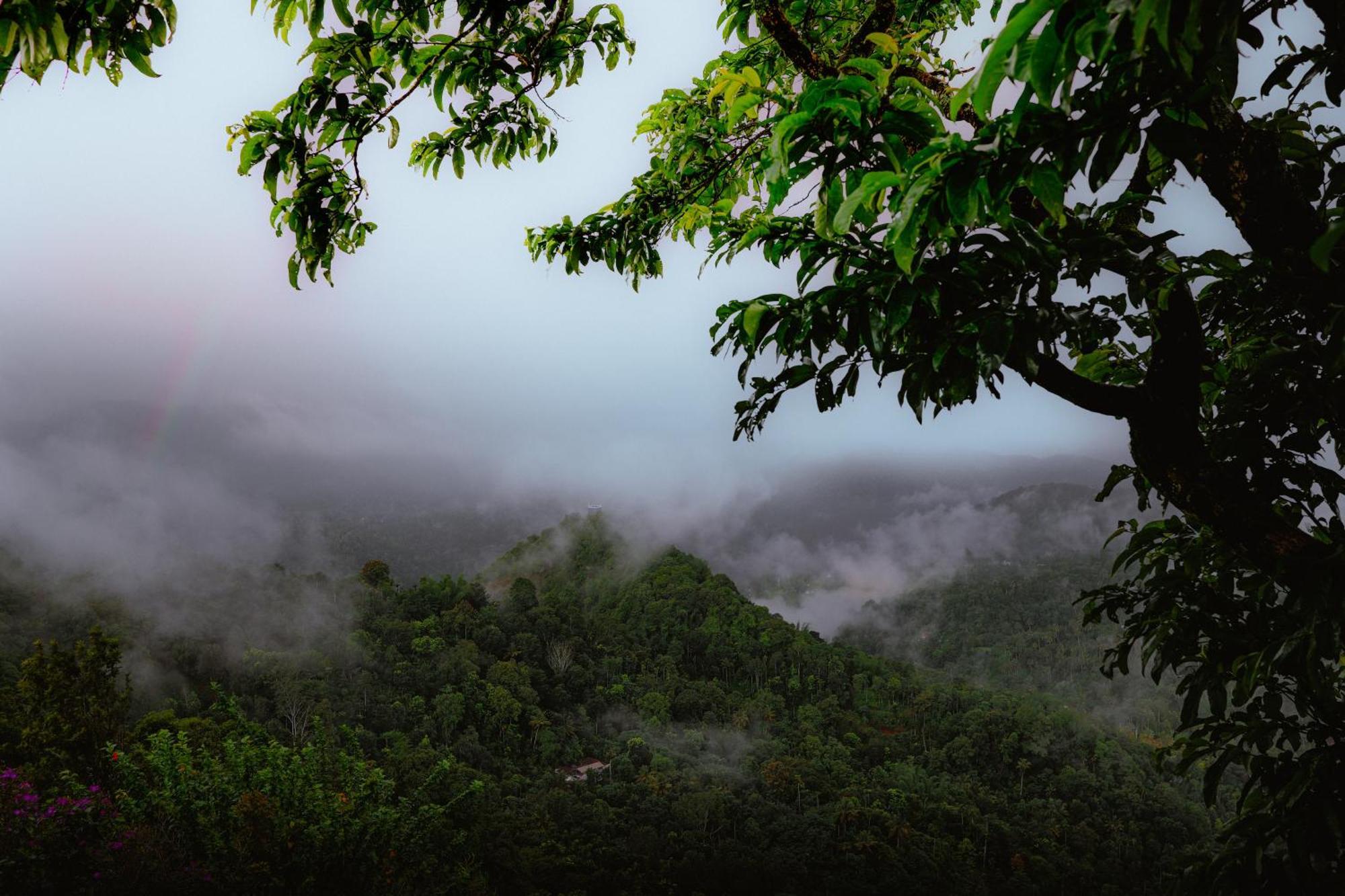 Haze And Kites Resort Munnar Exterior photo