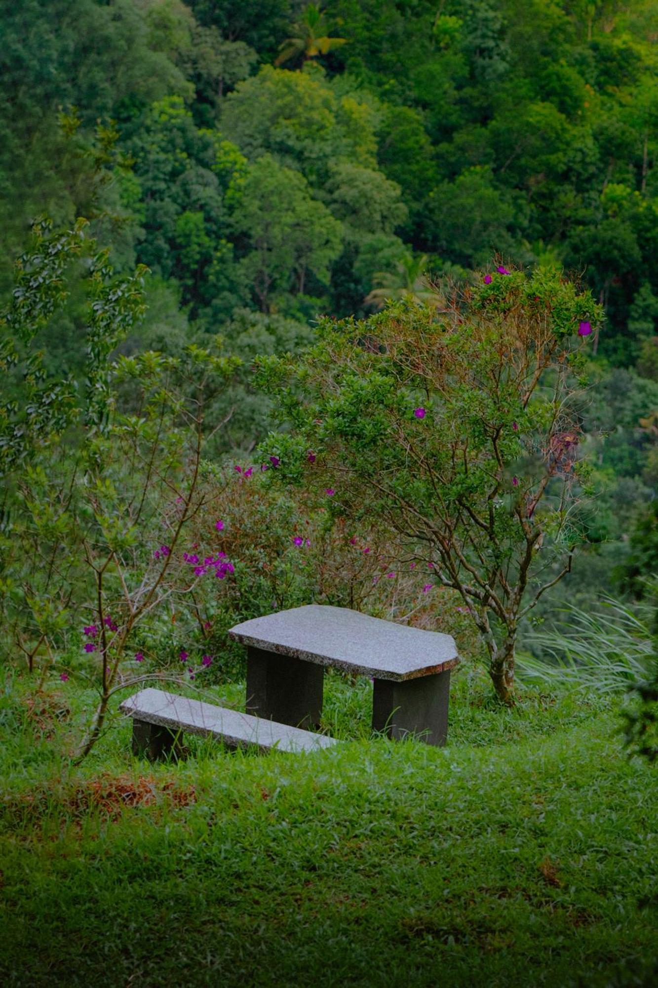 Haze And Kites Resort Munnar Exterior photo